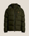 Company Olive